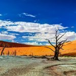 Deadvlei In Namib Naukluft National Park, Sossusvlei, Namibia