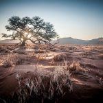 Dunes De Namibie 2