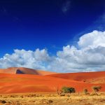 Sossusvlei, Namib Naukluft National Park, Namibia