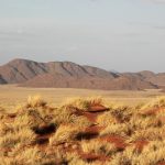 Namib Desert